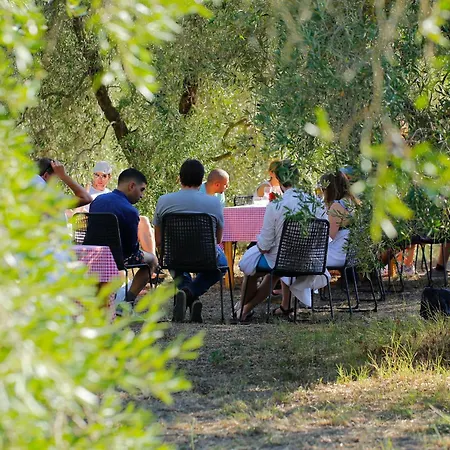 Fattoria Iluigi