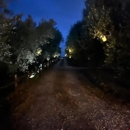 Fattoria Iluigi Holiday home